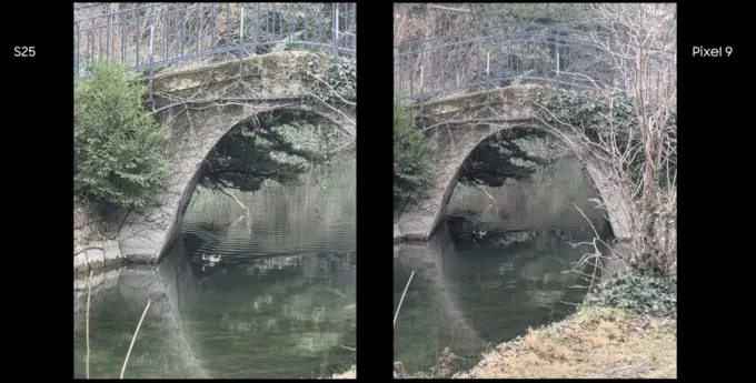 S25 vs Pixel 9 daylight