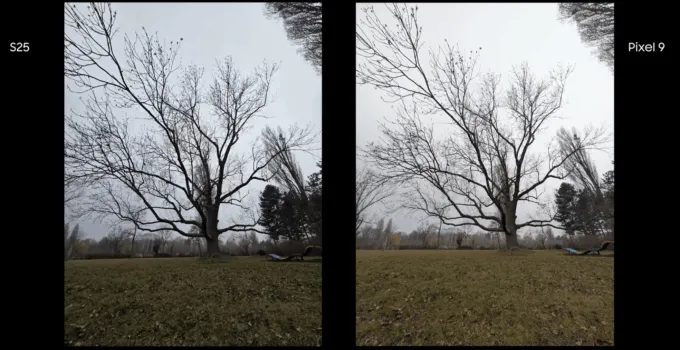 S25 vs Pixel 9 daylight ultrawide