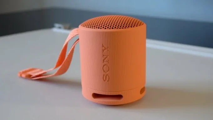 Sony SRS-XB100