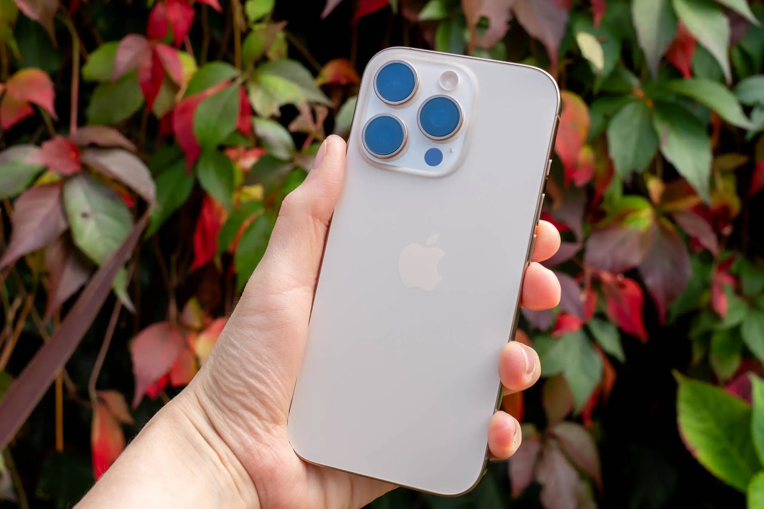 Смартфон Apple iPhone 16 Pro