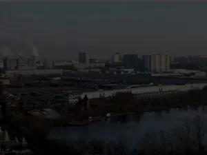 «Палач. Книги». Светлана Рейтер, «Сами по себе»