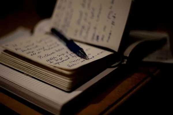 Саша Жуковская, «Журналистика»: «Искать работу через Telegram-канал – все равно что прилюдно обосраться»