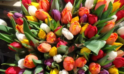 Почему 8 марта пора отменять