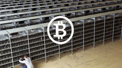 Майнеры скупили все видеокарты в Москве