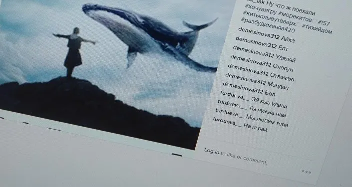 Администраторы «групп смерти» зарабатывали деньги. Так считает президент