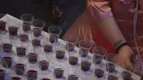 Феминистка угостила поклонников искусства своей менструальной кровью