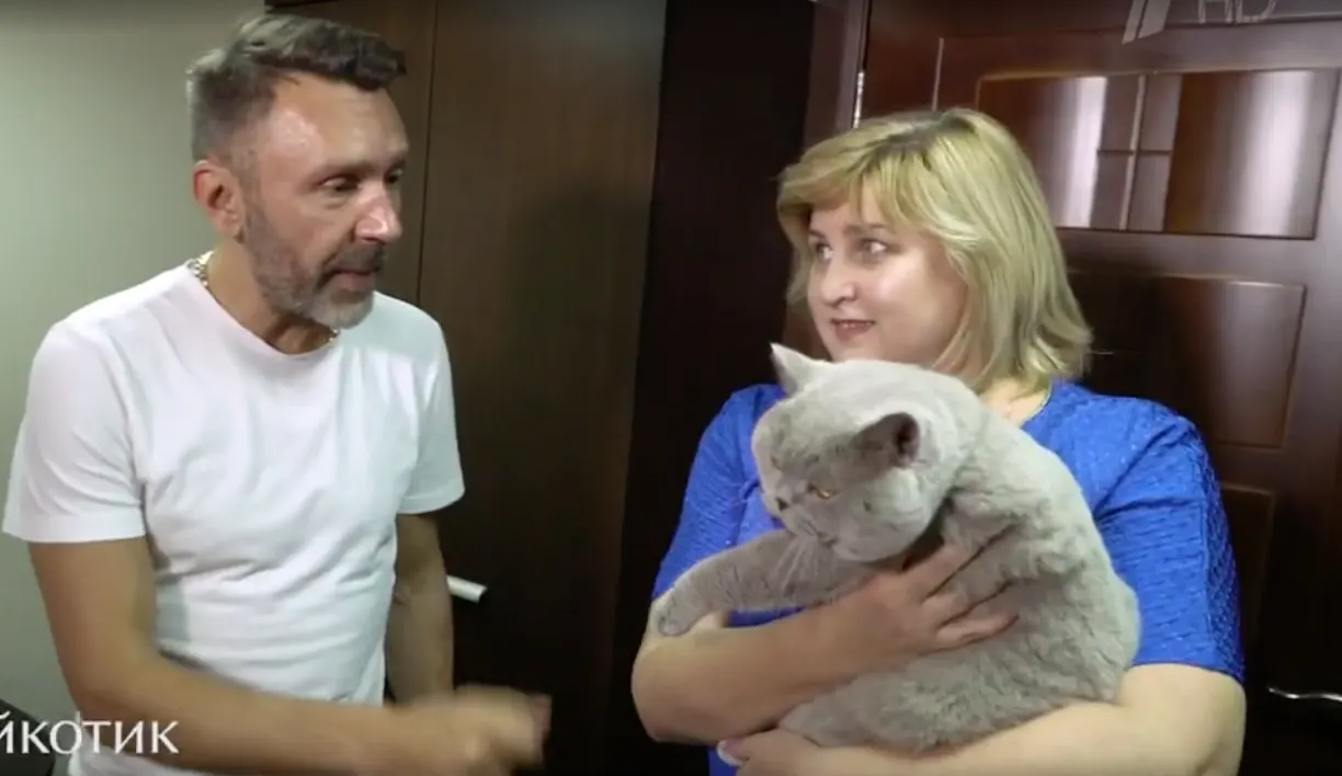 Почему Сергей Шнуров в «Главном котике страны» – это очень, очень плохо