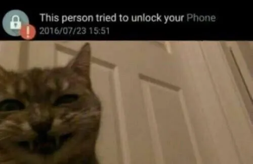 Вор подрезал телефон и случайно запилил селфач