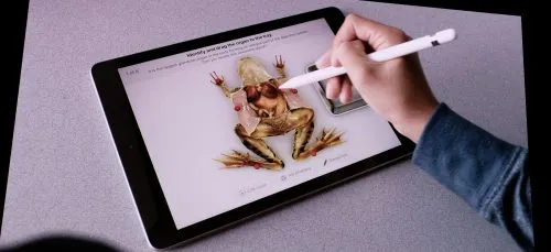 Apple выпустила iPad для школьников. Цена – норм для Америки, но жирно для России