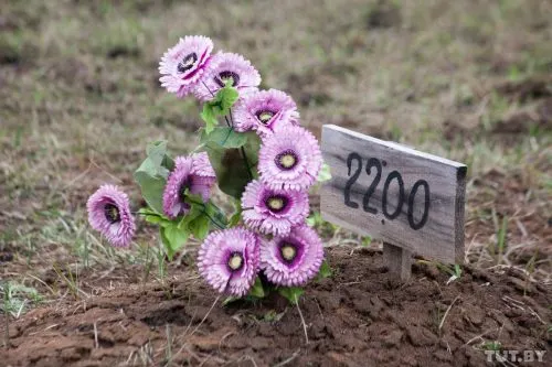Похороны Мавроди будут идеальными. В безымянной могиле