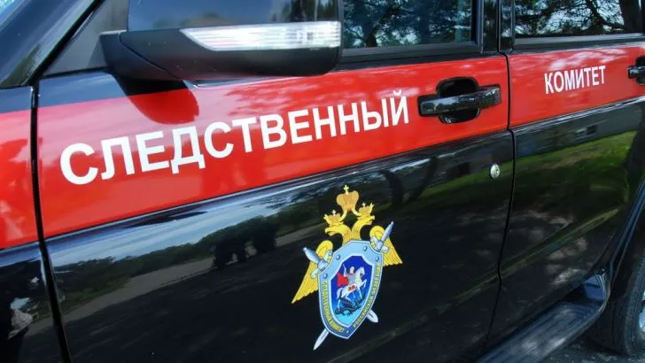 27-летняя мать задушила и сожгла своих детей. Виновата бедность, которой не было