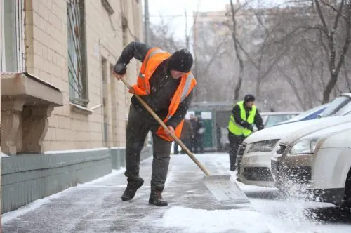 Идите в программисты – в России они поднимают больше всех. Но быть дворником тоже неплохо