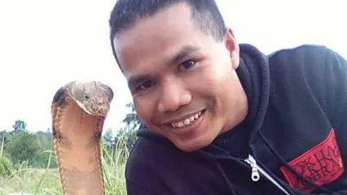 Змеелов поцеловал кобру. Угадайте, чем всё закончилось?