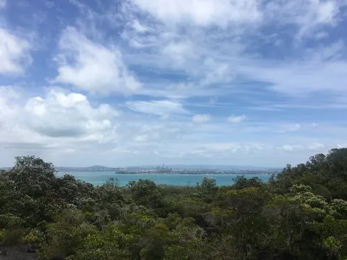 Я переехал в Новую Зеландию. Тут – огромный пост про жизнь, работу, геев и деньги