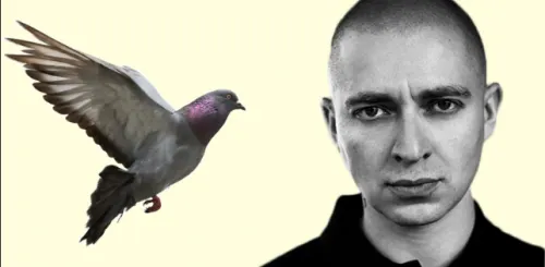 Мирон и голуби. Команда Окси на Fresh Blood – послушные рабы плюс Пиэм