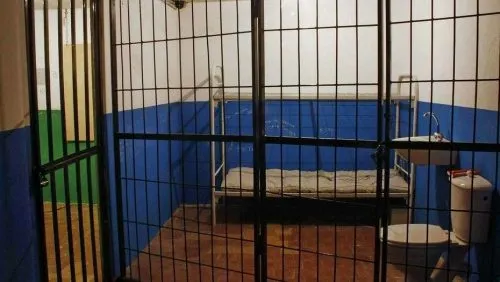 «На жизнь давали 40 рублей. Иметь парня или девушку запрещалось». История, после которой вы точно не пойдете в университет «Синергия»