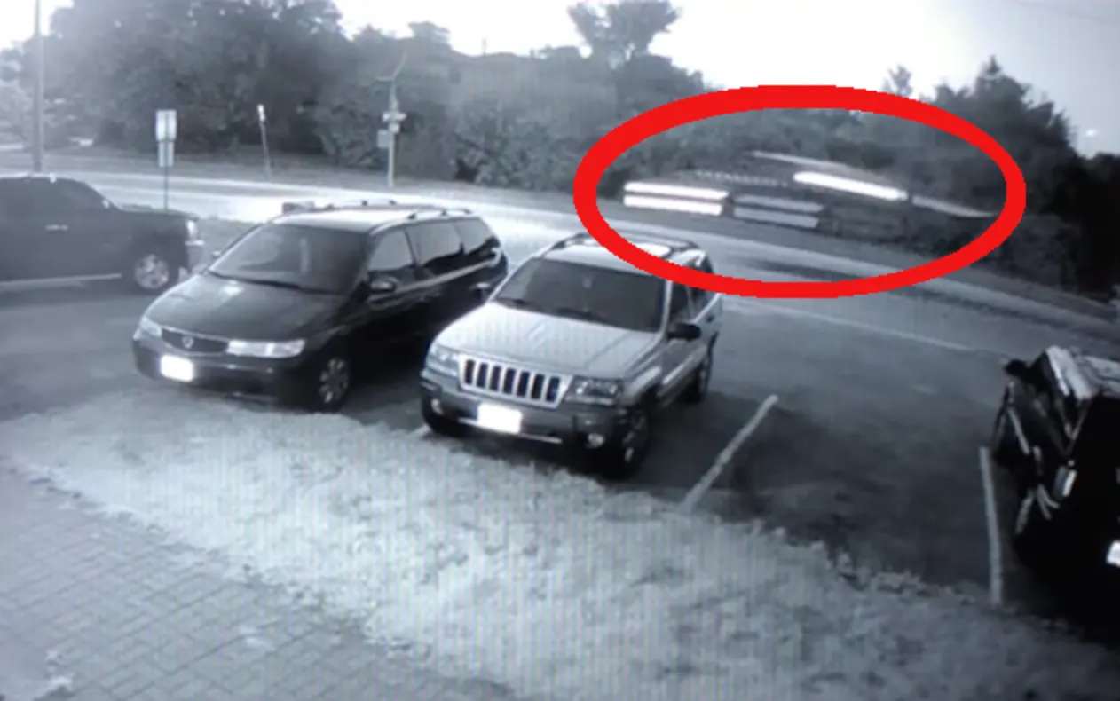 Парень на Tesla научился летать. Попал на видео и в дерево