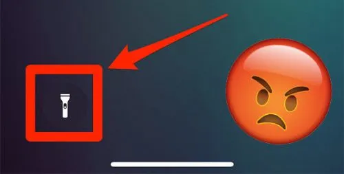 У iPhone X внезапная проблема – взбесившийся фонарик