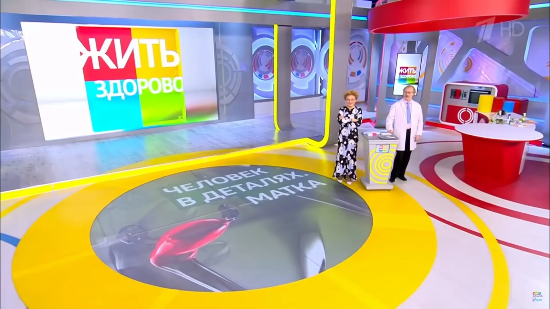 «Вот такая у нас милая матка». Приставучий трек про женский орган из программы Елены Малышевой