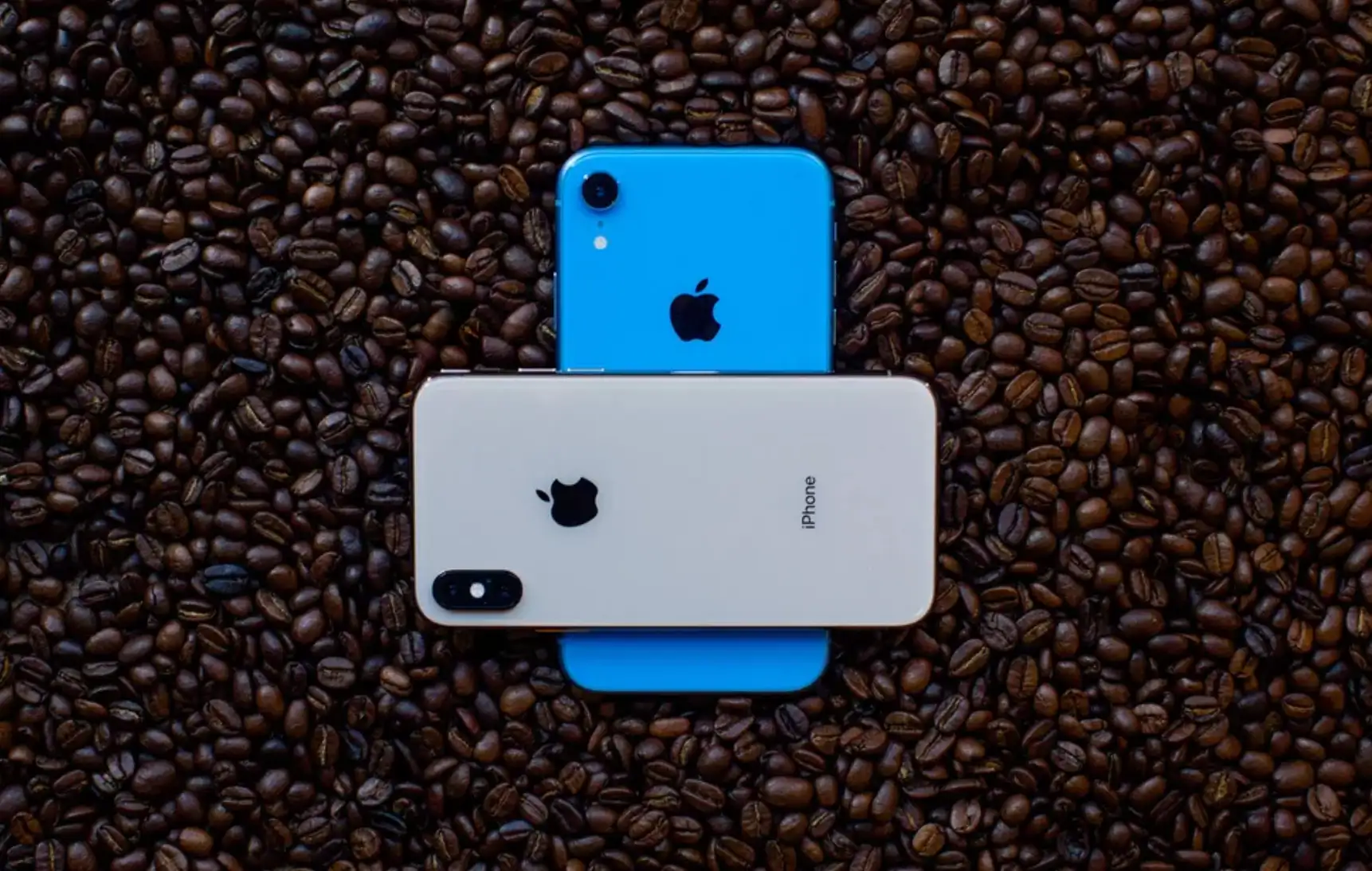 В новых iPhone 11 есть обратная зарядка. Но её зачем-то отключили