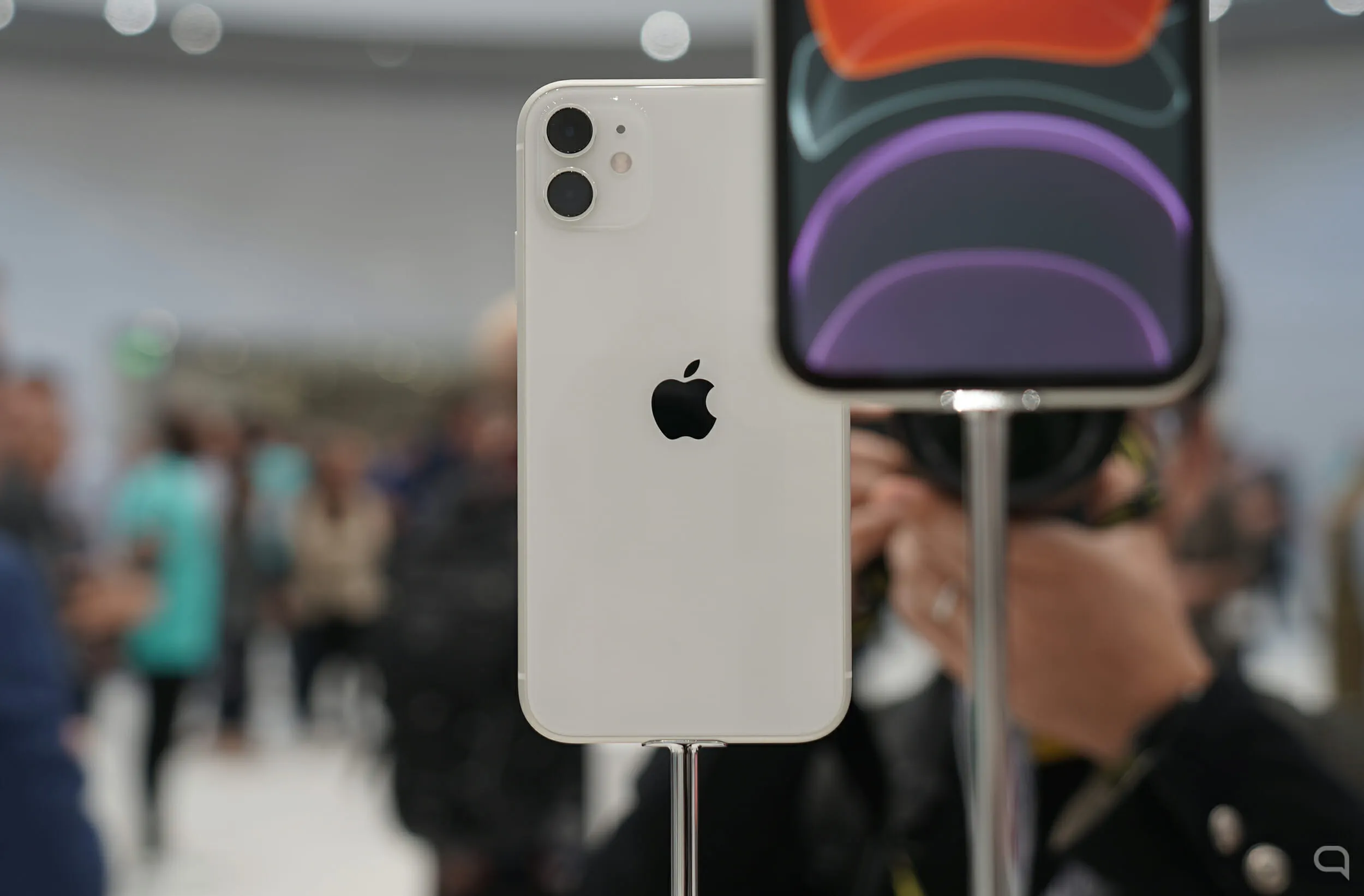 iPhone 11 против iPhone XR – в чем отличия и что выбрать?