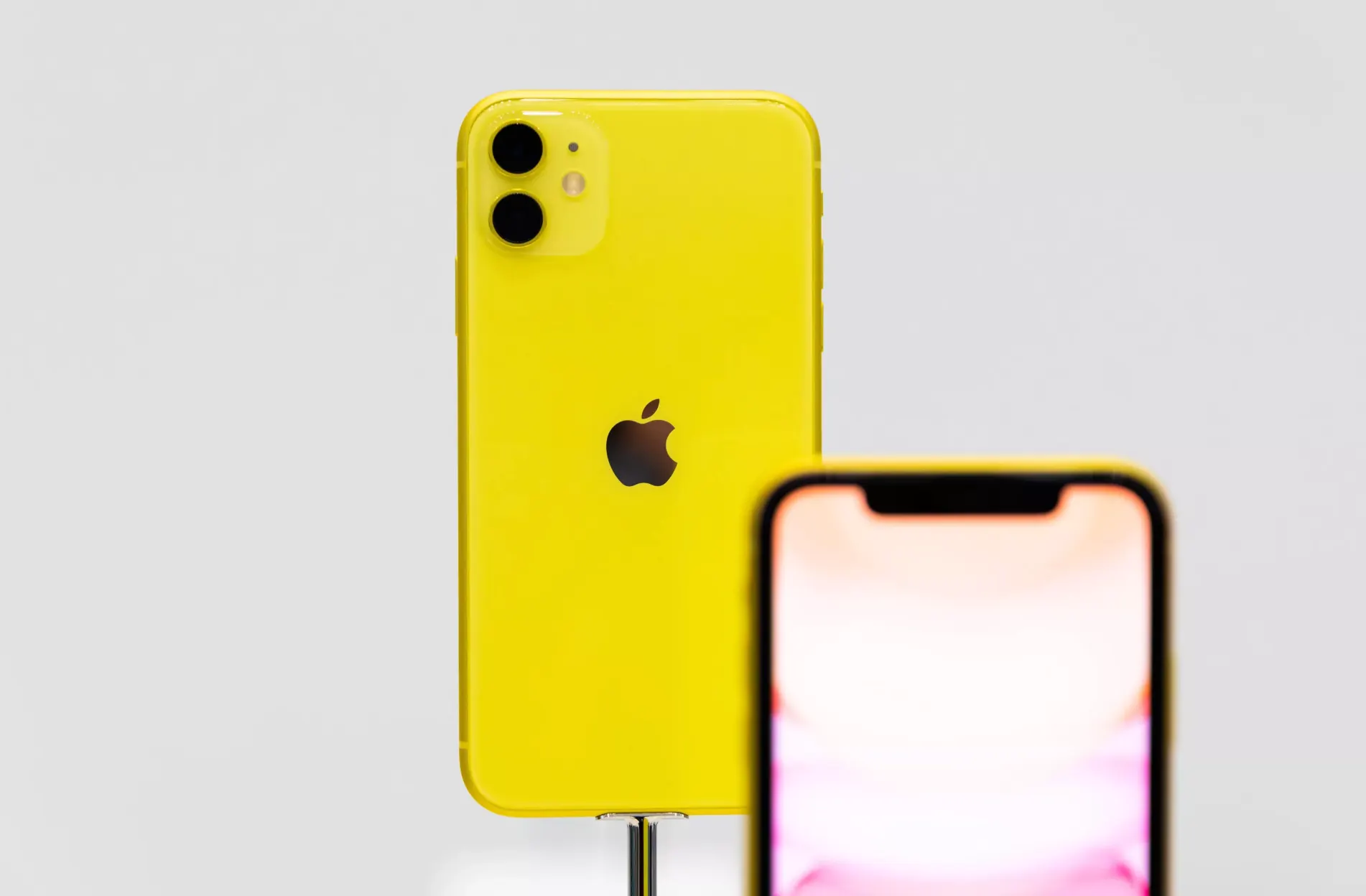 iPhone 11 подешевел до 50 тысяч рублей. Где лучше всего покупать наследника iPhone XR?