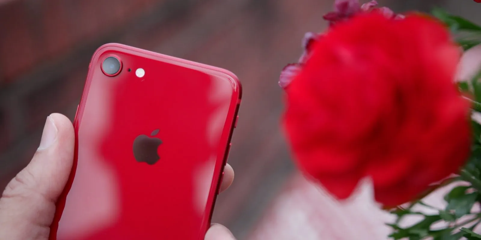 Надежные инсайдеры подтвердили iPhone SE 2. Здесь всё – название, характеристики и цена