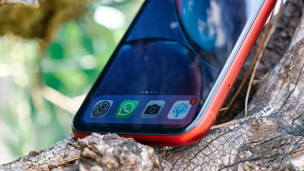 iPhone XR – самый популярный смартфoн в мире. А какое место занял хит от Xiaomi?