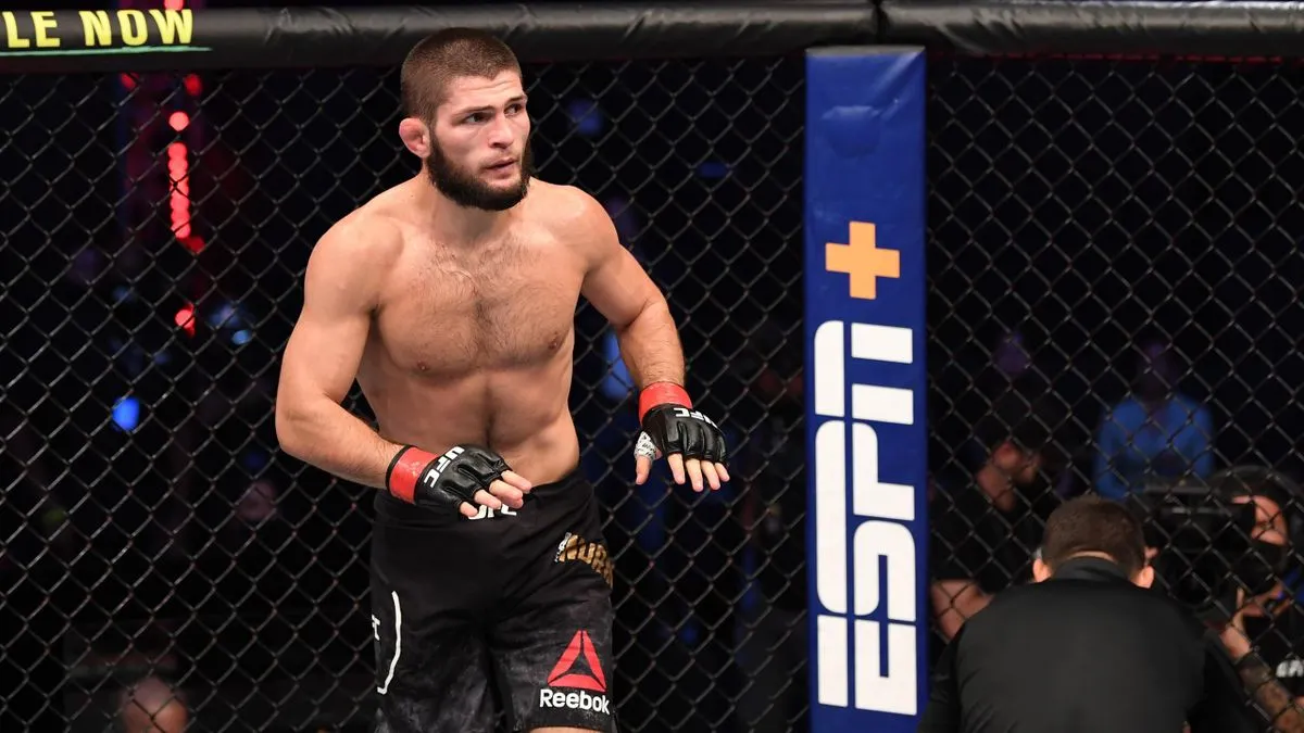 «Я купил баранов». Хабиб точно не вернется в UFC