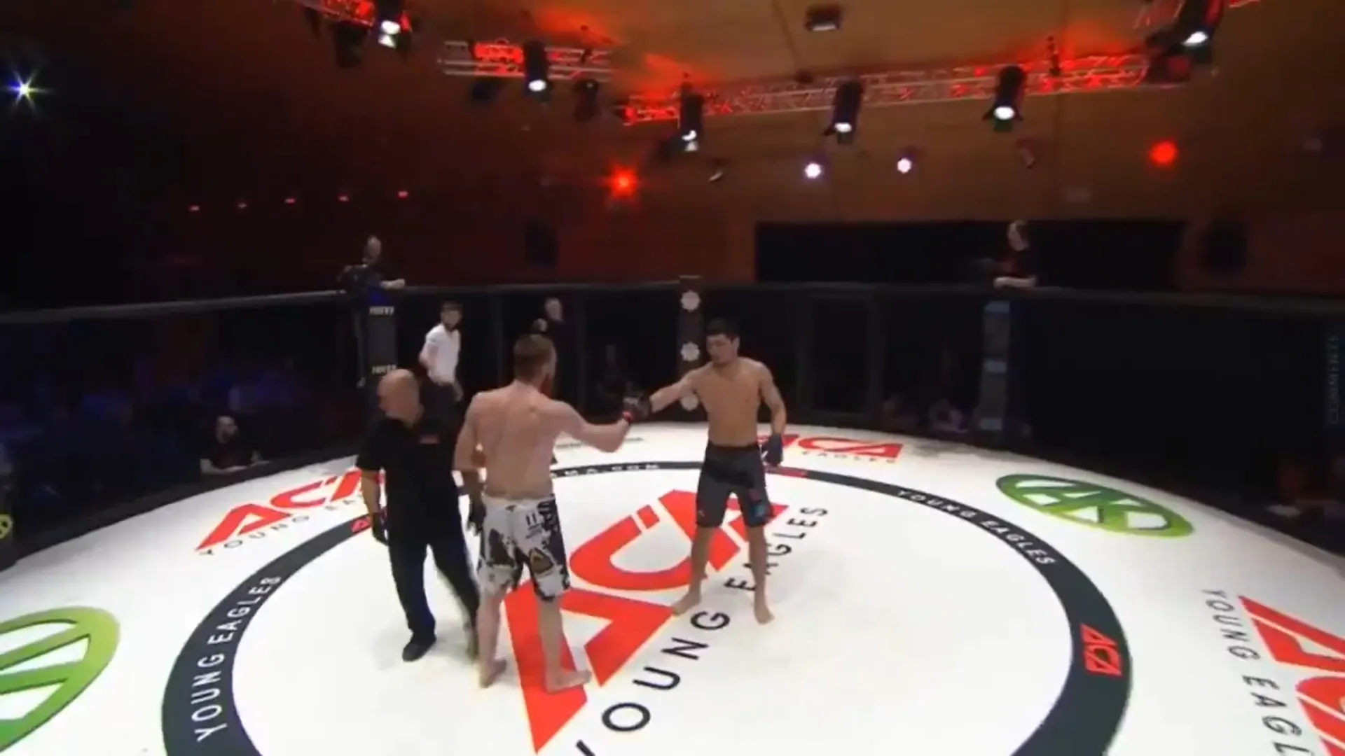 В MMA бойцы начали драку и устроили нокаут без судьи. Просто вошли в клетку и продолжили поединок