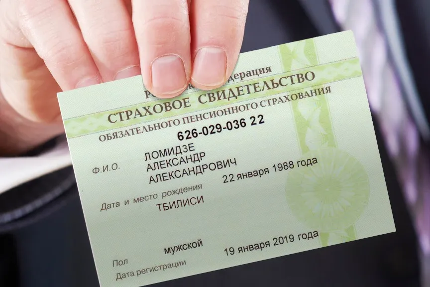 Маленькой зеленой карточки больше нет. В сети возмутились новым дизайном СНИЛС
