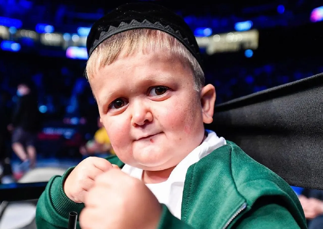 Хасбик и Абдурозик снова подрались – теперь на UFC 267. Как они попали на турнир по MMA?