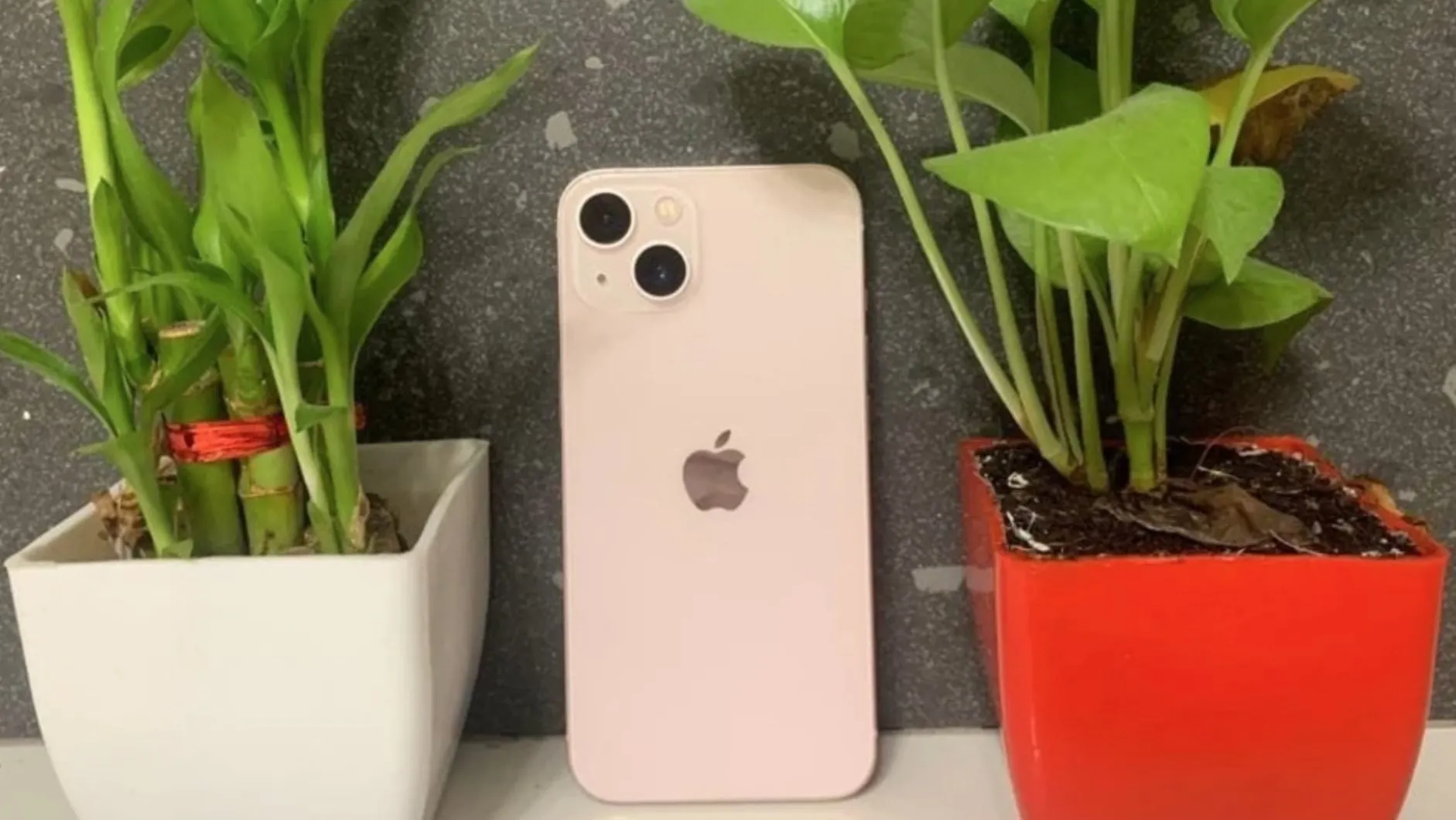 iPhone 13 нужно брать – он уже не подешевеет. И вот почему