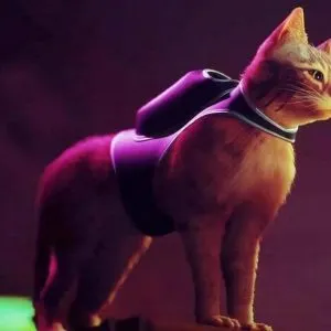 Где купить игру Stray в России на PlayStation и ПК? Симулятор кота сводит геймеров с ума