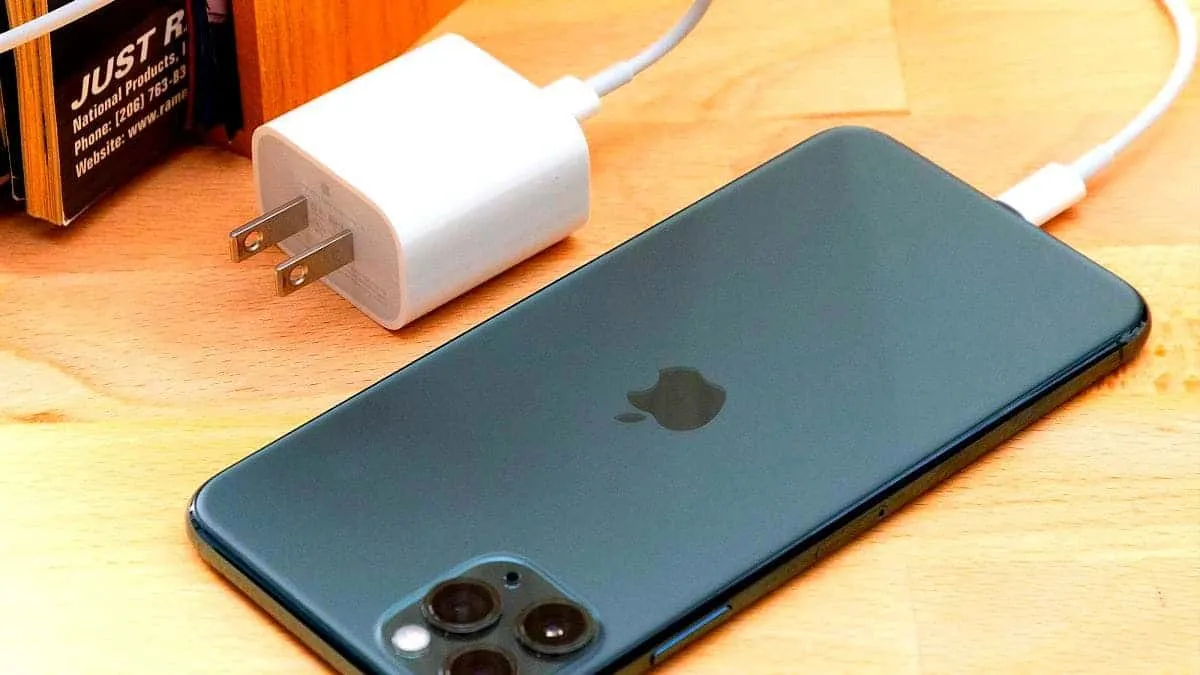 Зарядка для iPhone страшно подорожала. Аксессуары не хотят везти в Россию