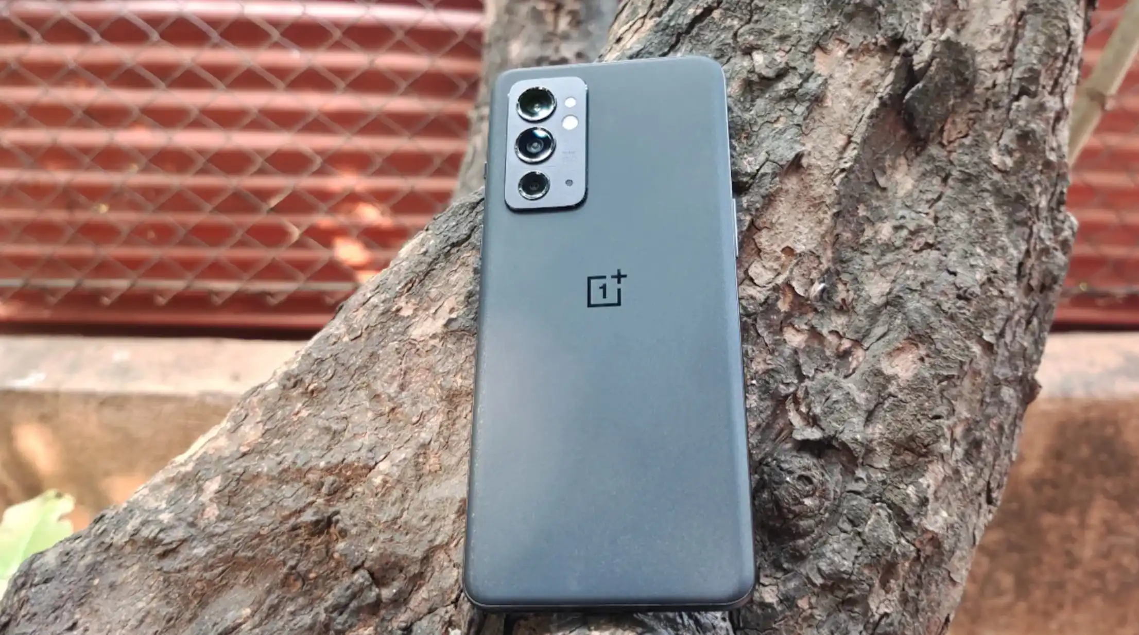 Бюджетный флагман OnePlus 9RT подешевел на 10 тысяч. Где его брать?