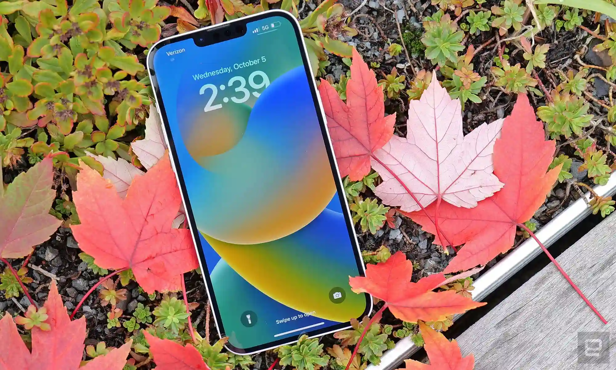 Главная фишка iPhone 14 Plus оказалась переоцененной. Как так?