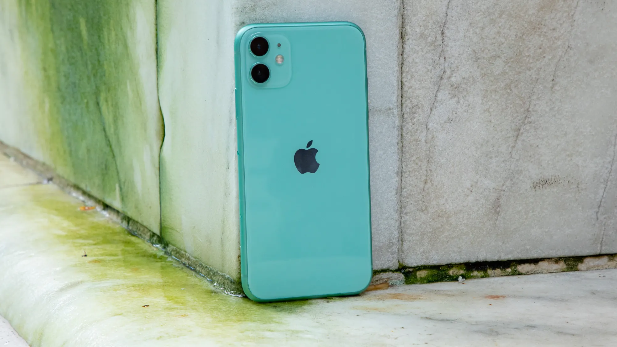iPhone 11 давно не стоил так дешево. Забираем прекрасный и надежный аппарат