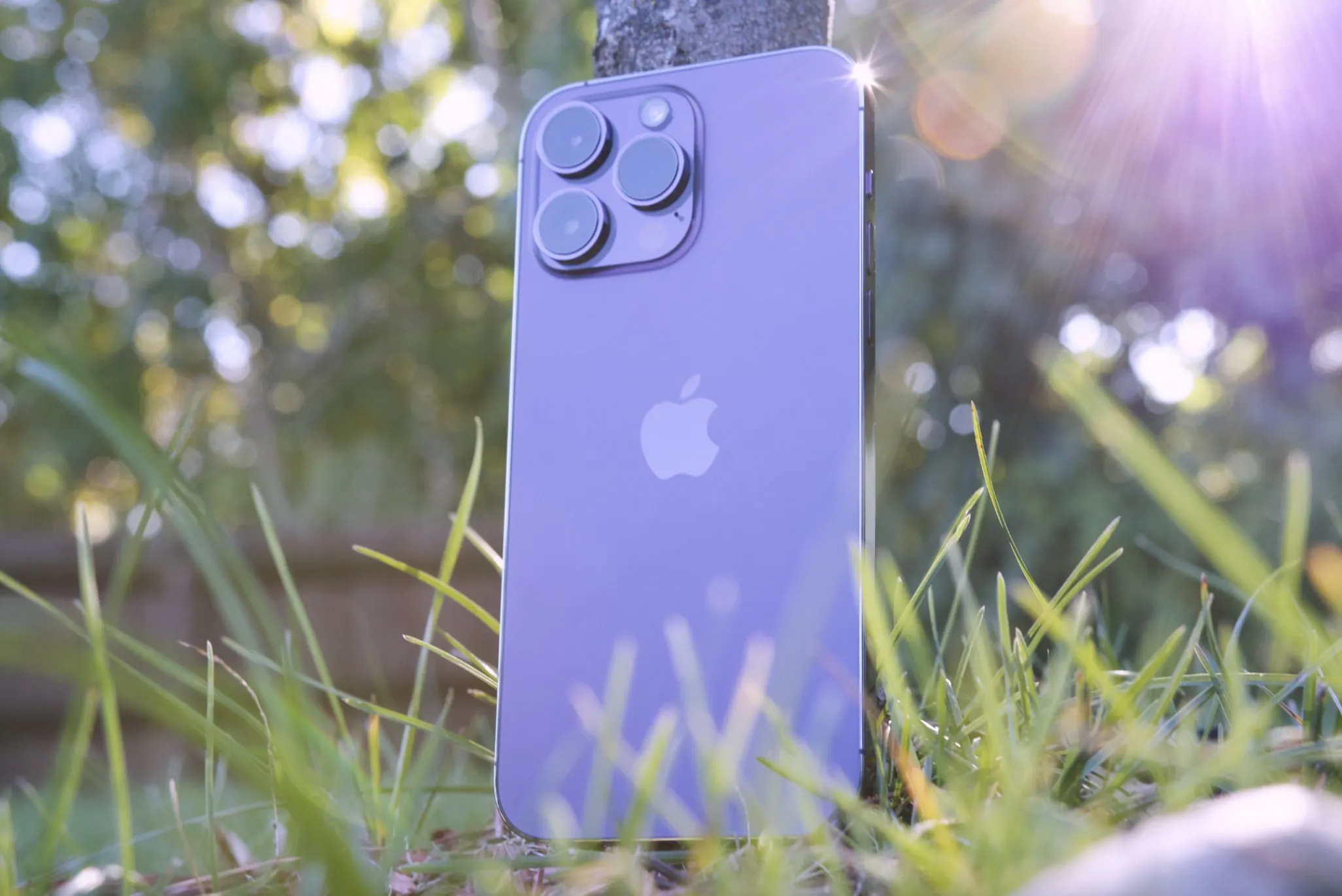 iPhone 14 Pro Max внезапно подешевел. Где выгоднее брать культовый флагман – в России или Китае?