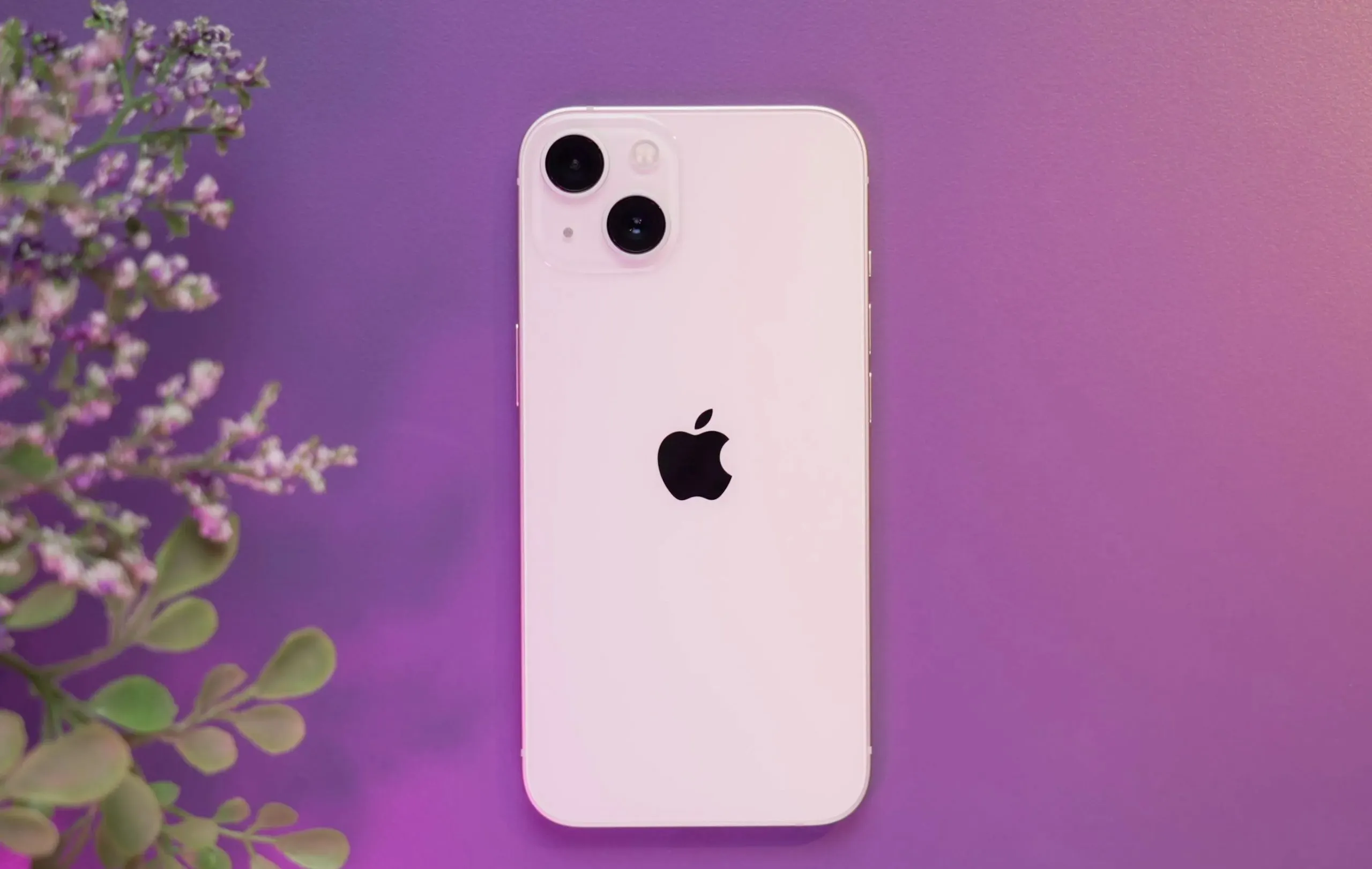 Что брать на Маркете? iPhone 13, компактный ноутбук и сбалансированный камерофон