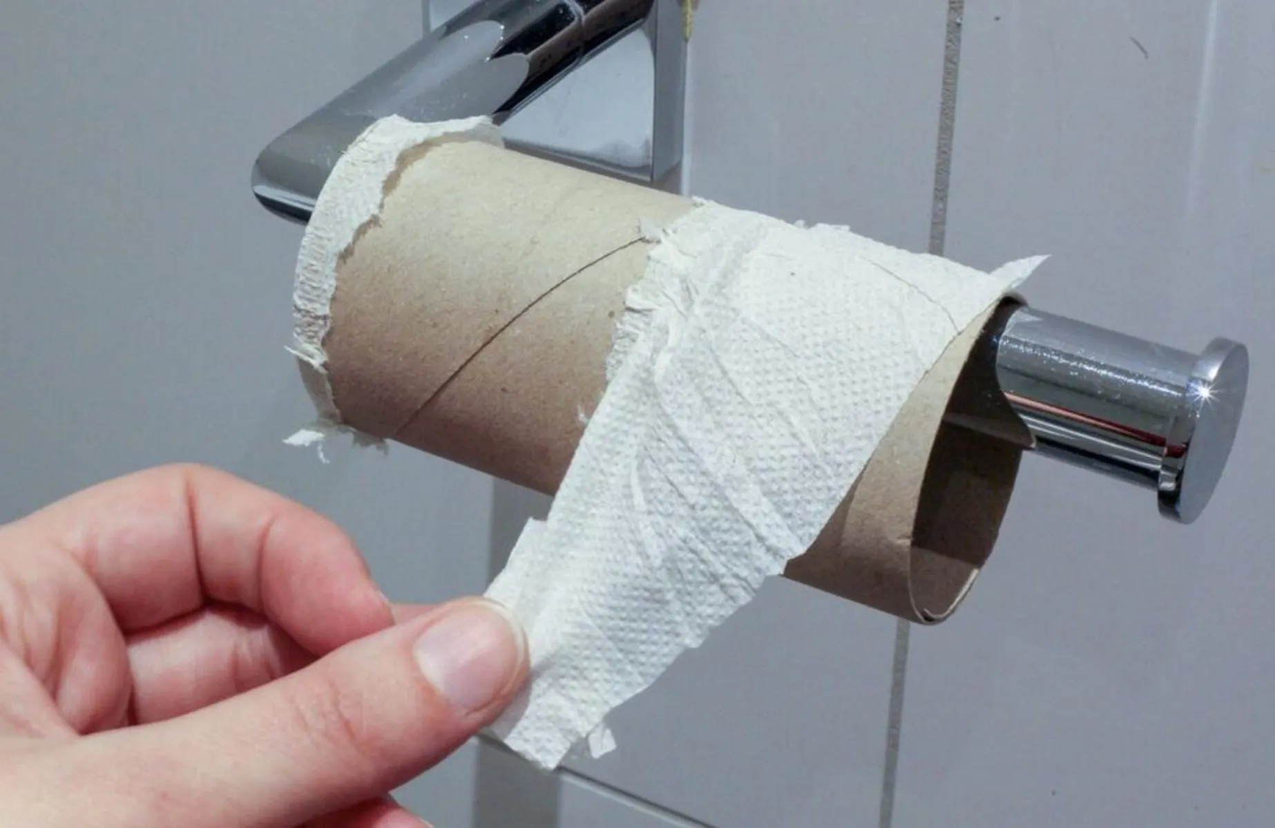 Где купить туалетную бумагу со смываемой втулкой? Показываем ссылки и раскрываем гениальный лайфхак