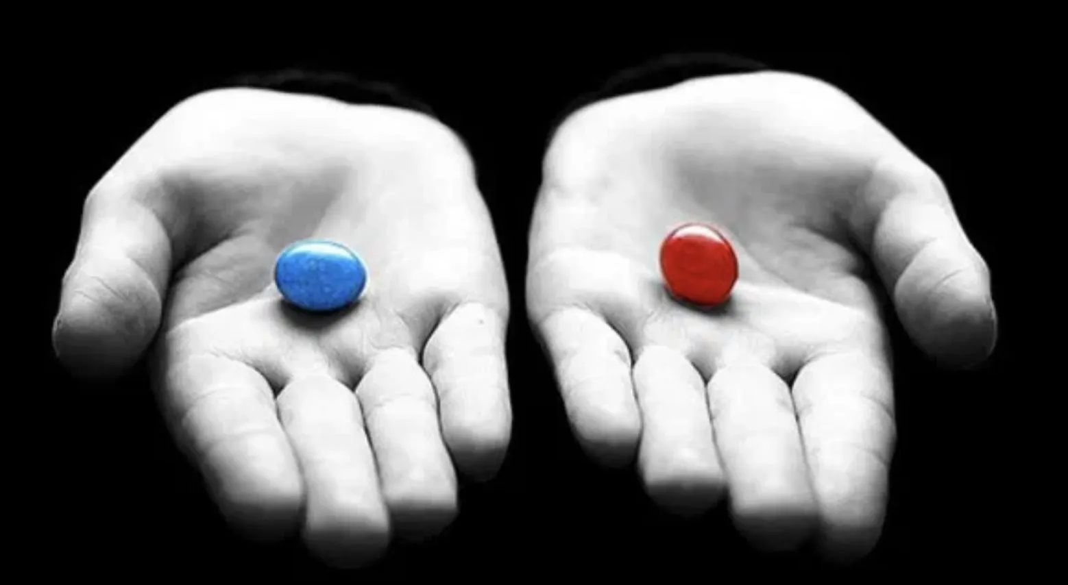 Какую кнопку нажать – синюю или красную? Дилемма из твиттера вызвала споры о жизни и героизме