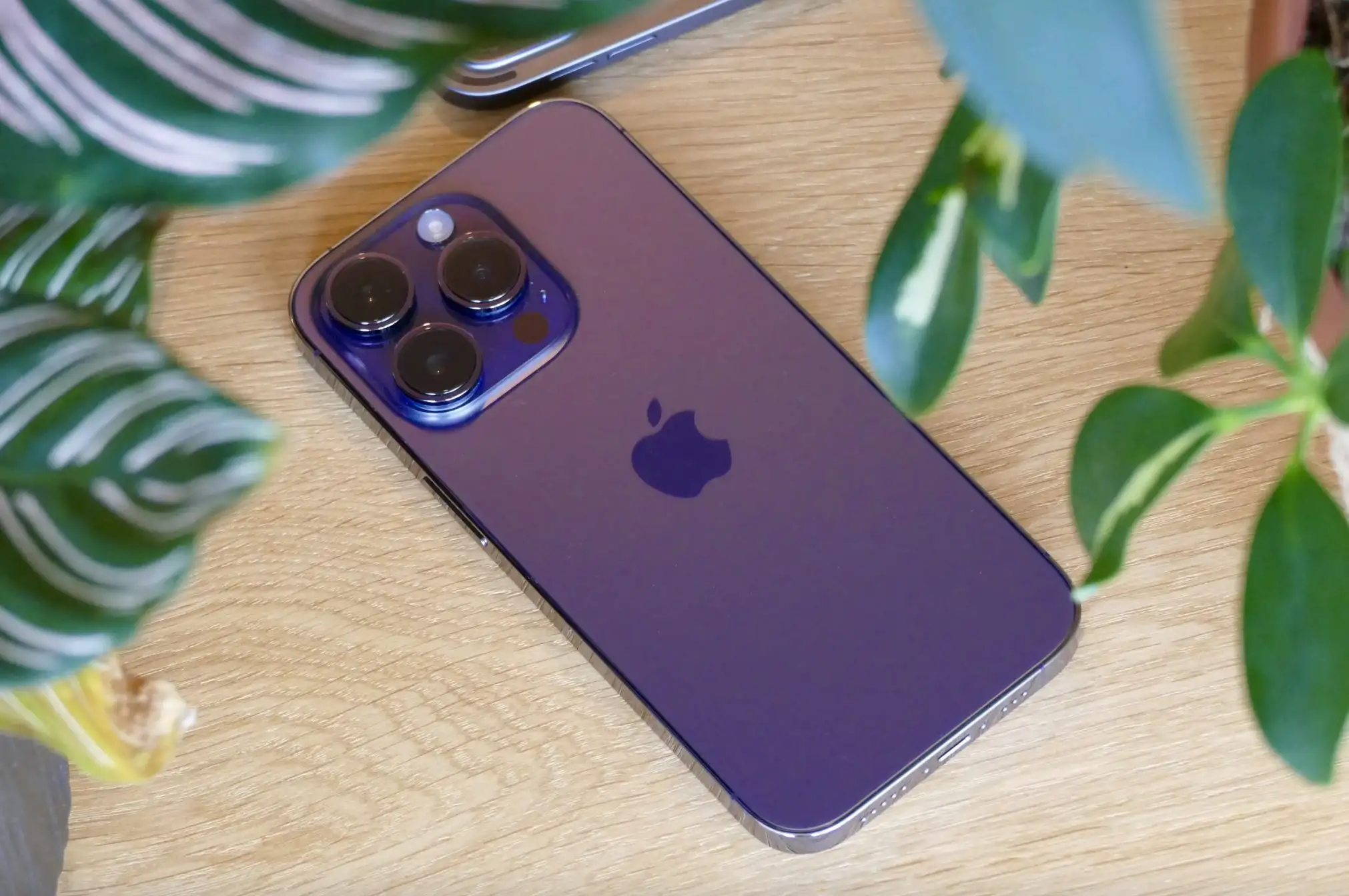 iPhone 14 Pro упал в цене, несмотря на курс. Можно смело брать