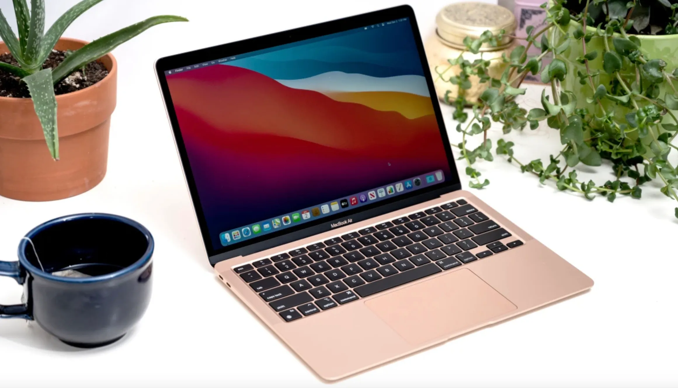 Apple выпустит новый дешевый MacBook. Что известно о модели и сколько она будет стоить?