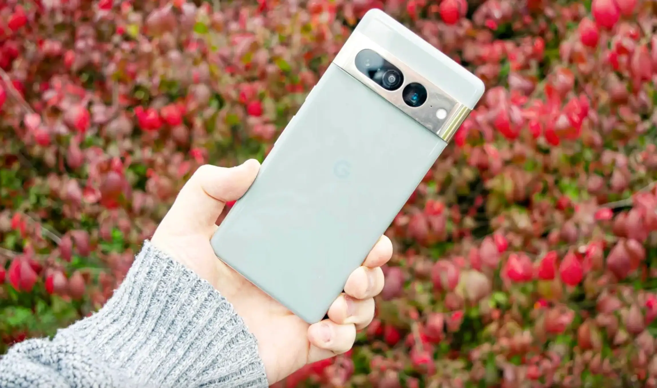 Каким будет Google Pixel 8 Pro? Производитель случайно рассекретил смартфон