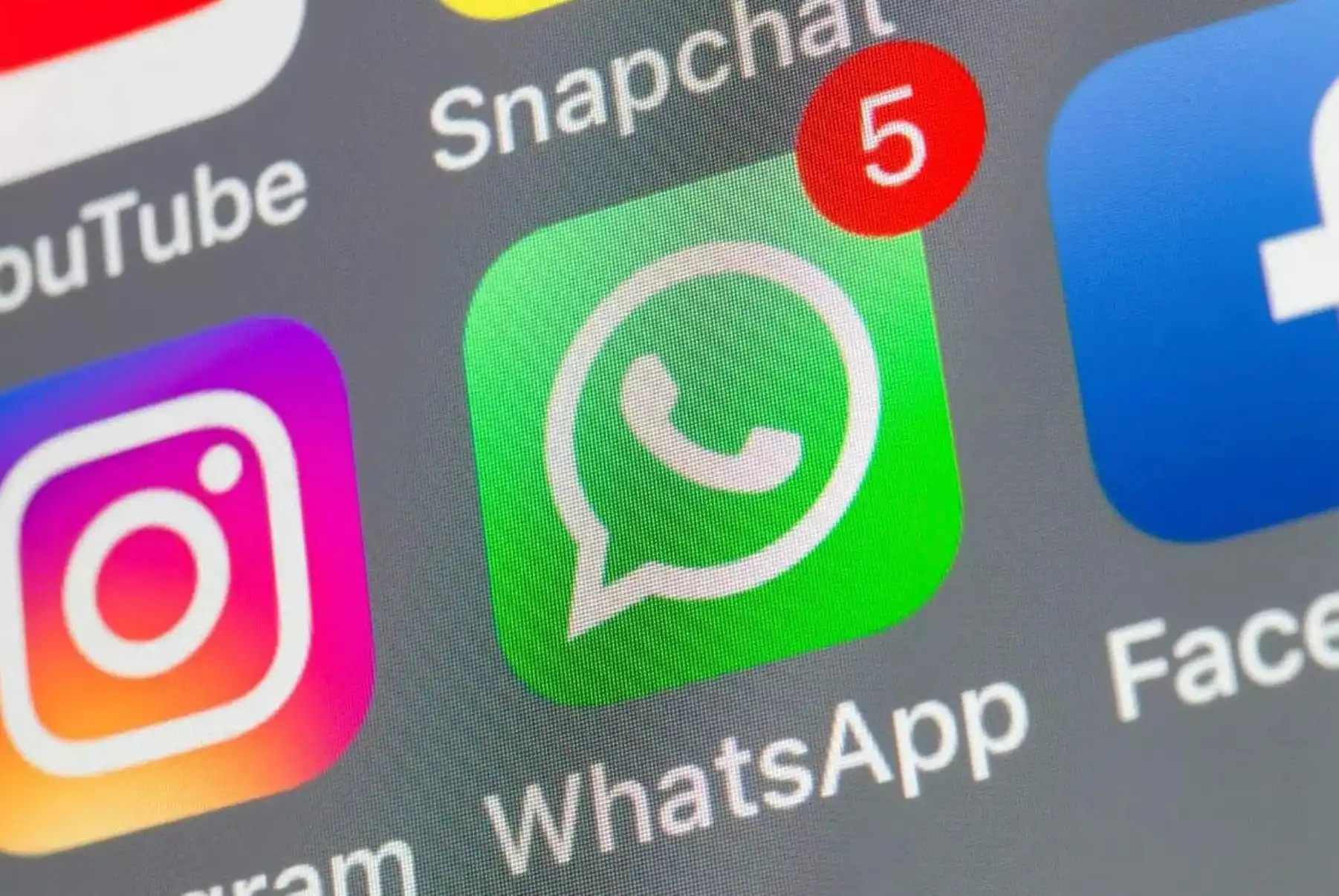 В России могут заблокировать WhatsApp? Мессенджер все еще работает в нашей стране, но с одним условием