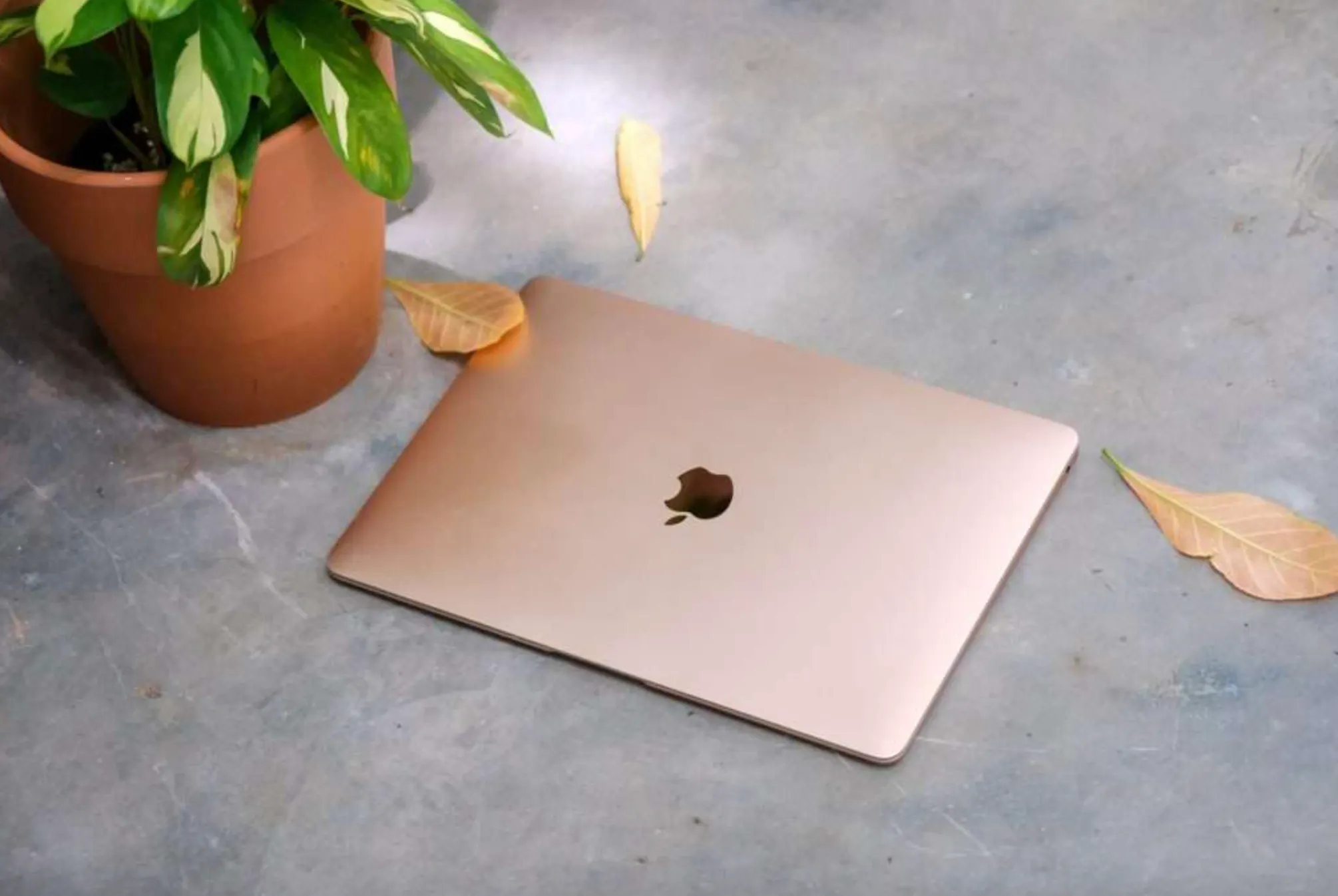 Стоит ли покупать MacBook Air M1 в конце 2023-го? Популярному ультрабуку исполнилось три года