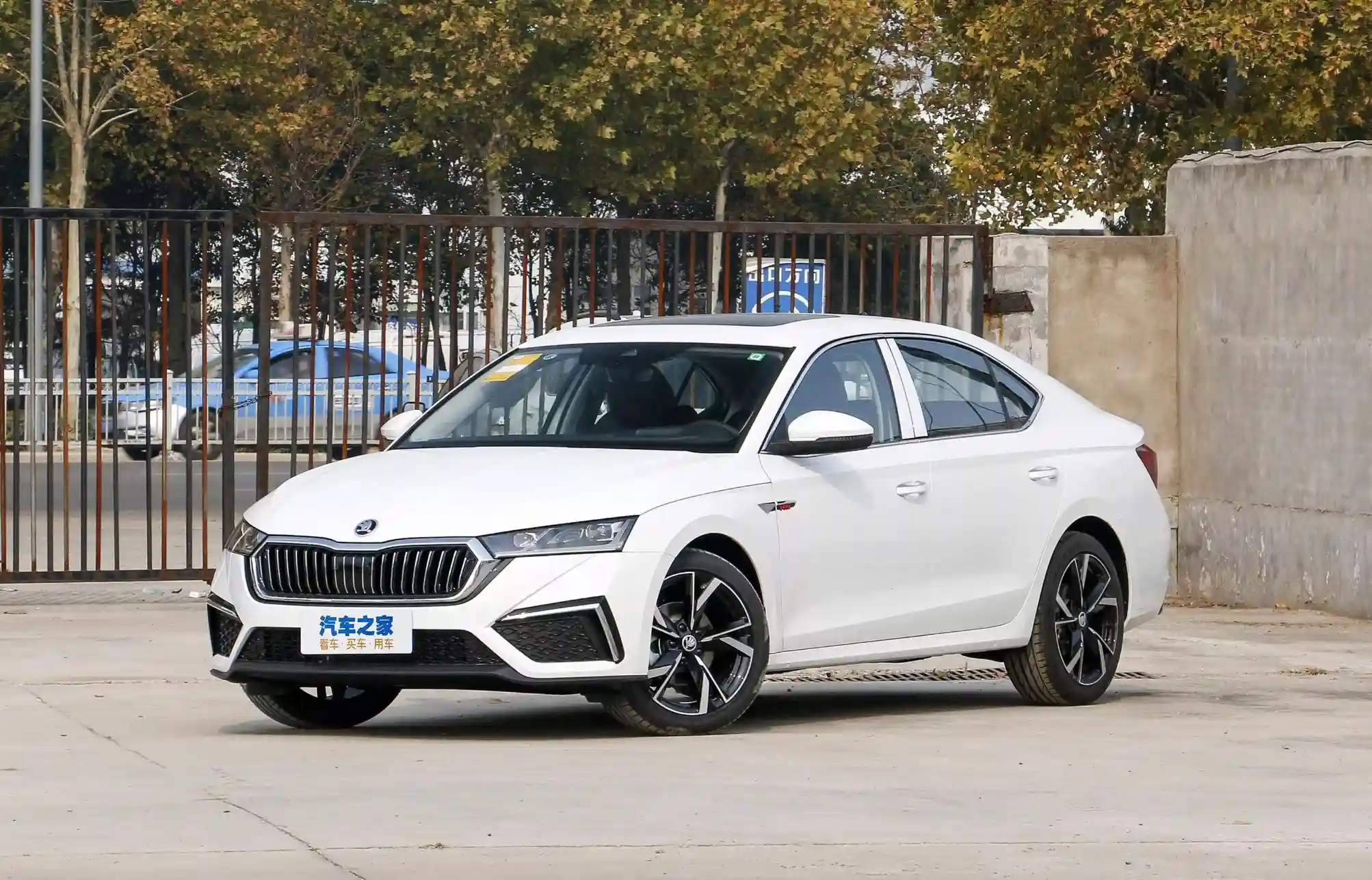 В Россию привезли топовую версию Skoda Octavia. Сколько просят за премиальный лифтбек?