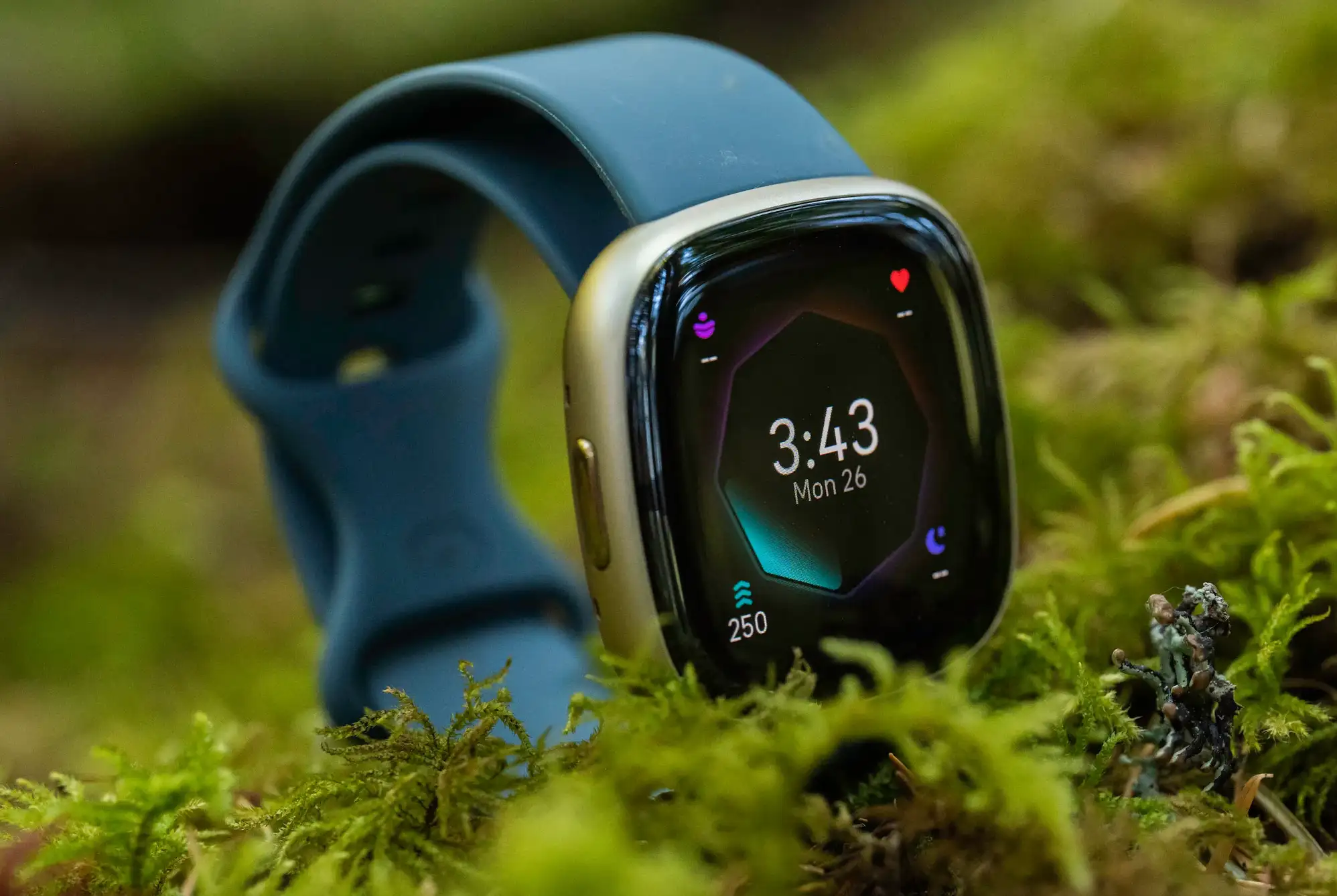 6 лучших умных часов в 2024 году. Бюджетные от Amazfit и самые продвинутые от Samsung