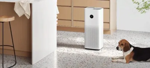 7 товаров умного дома Xiaomi, которые стоит брать этим летом. Есть даже девайс за 500 рублей